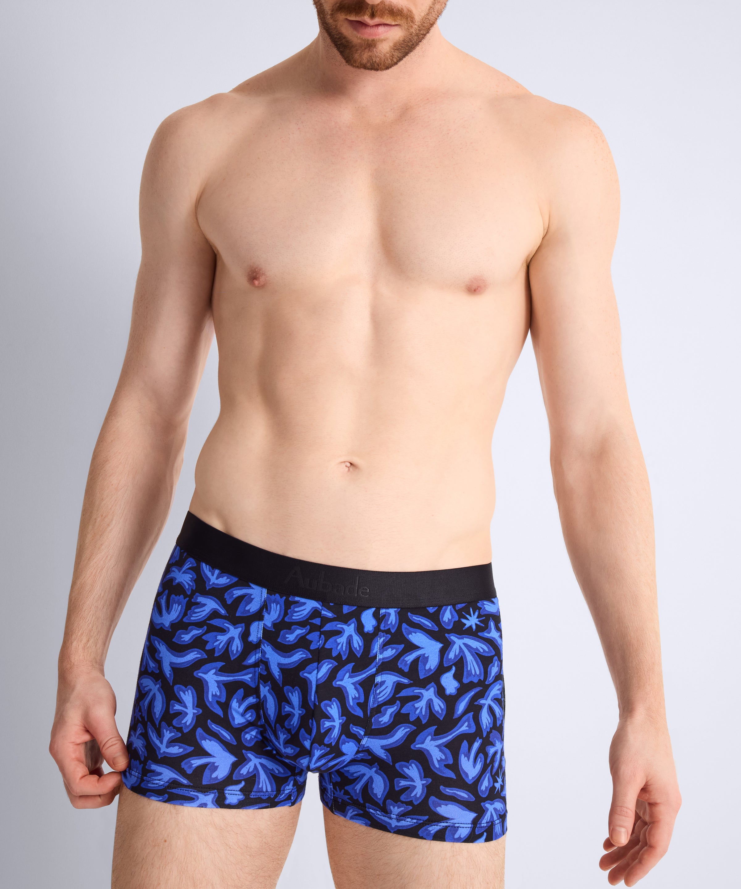 Aubade Homme Pack 2 boxers Birds