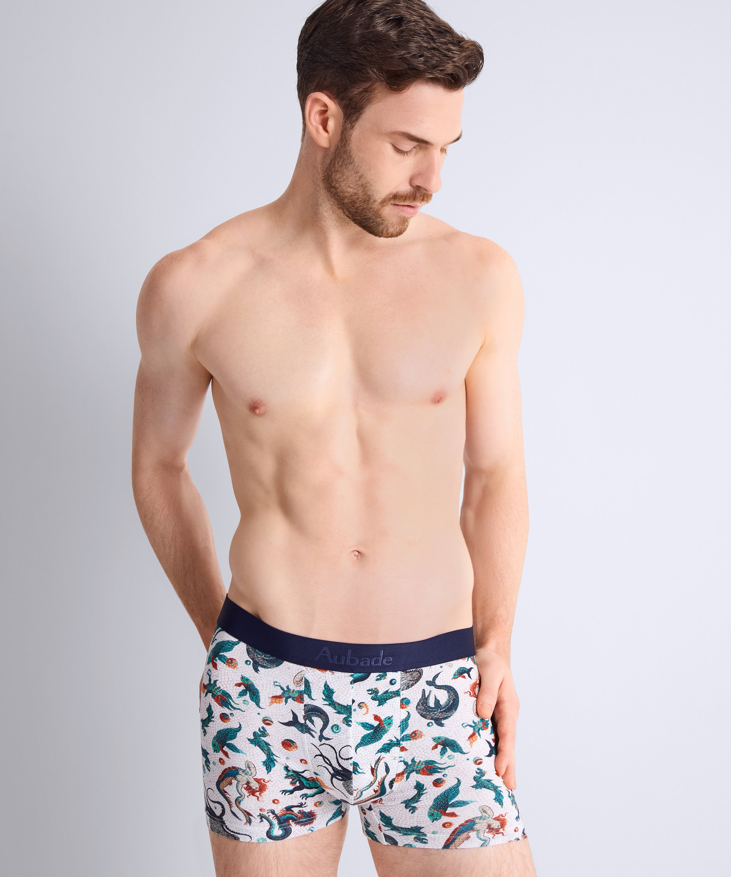 Aubade Homme Boxer homme Mosaic
