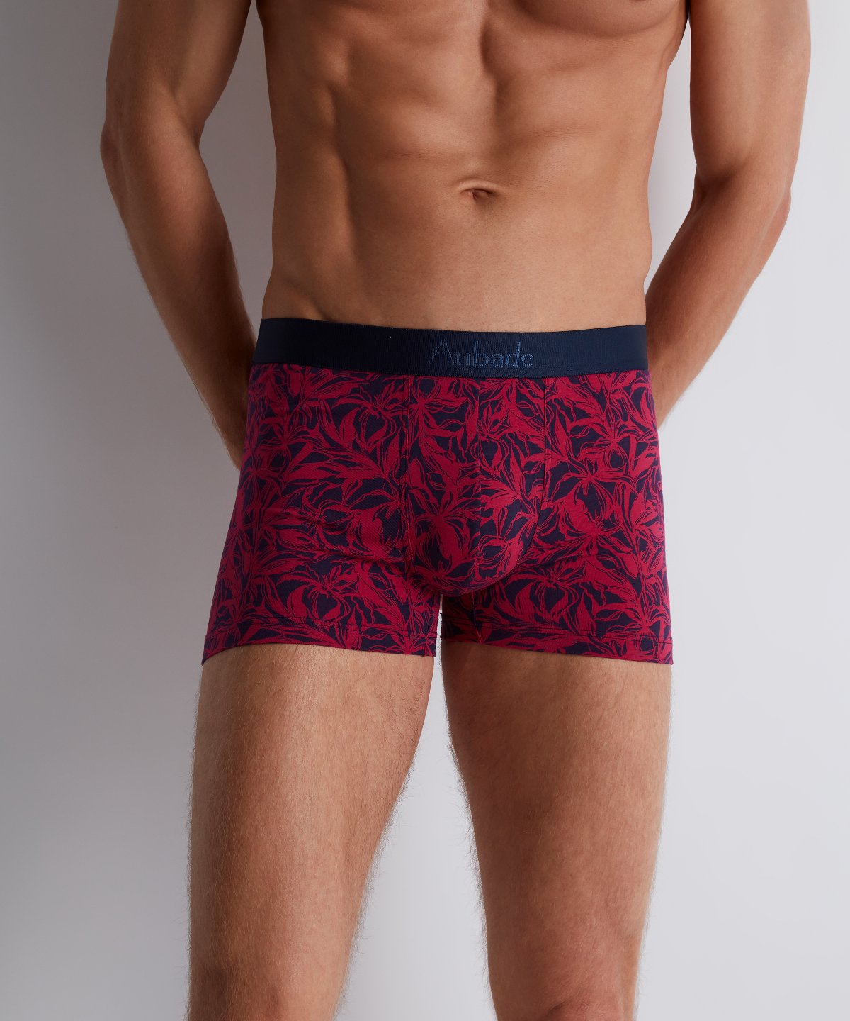 Aubade Homme Pack 2 boxers Fairy Bloom