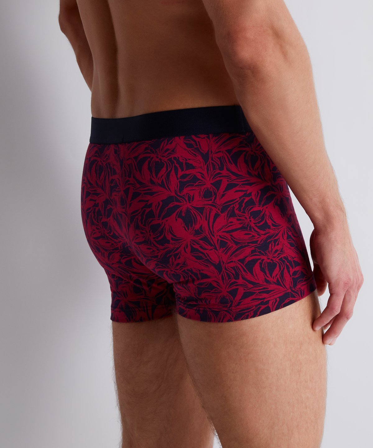 Aubade Homme Pack 2 boxers Fairy Bloom