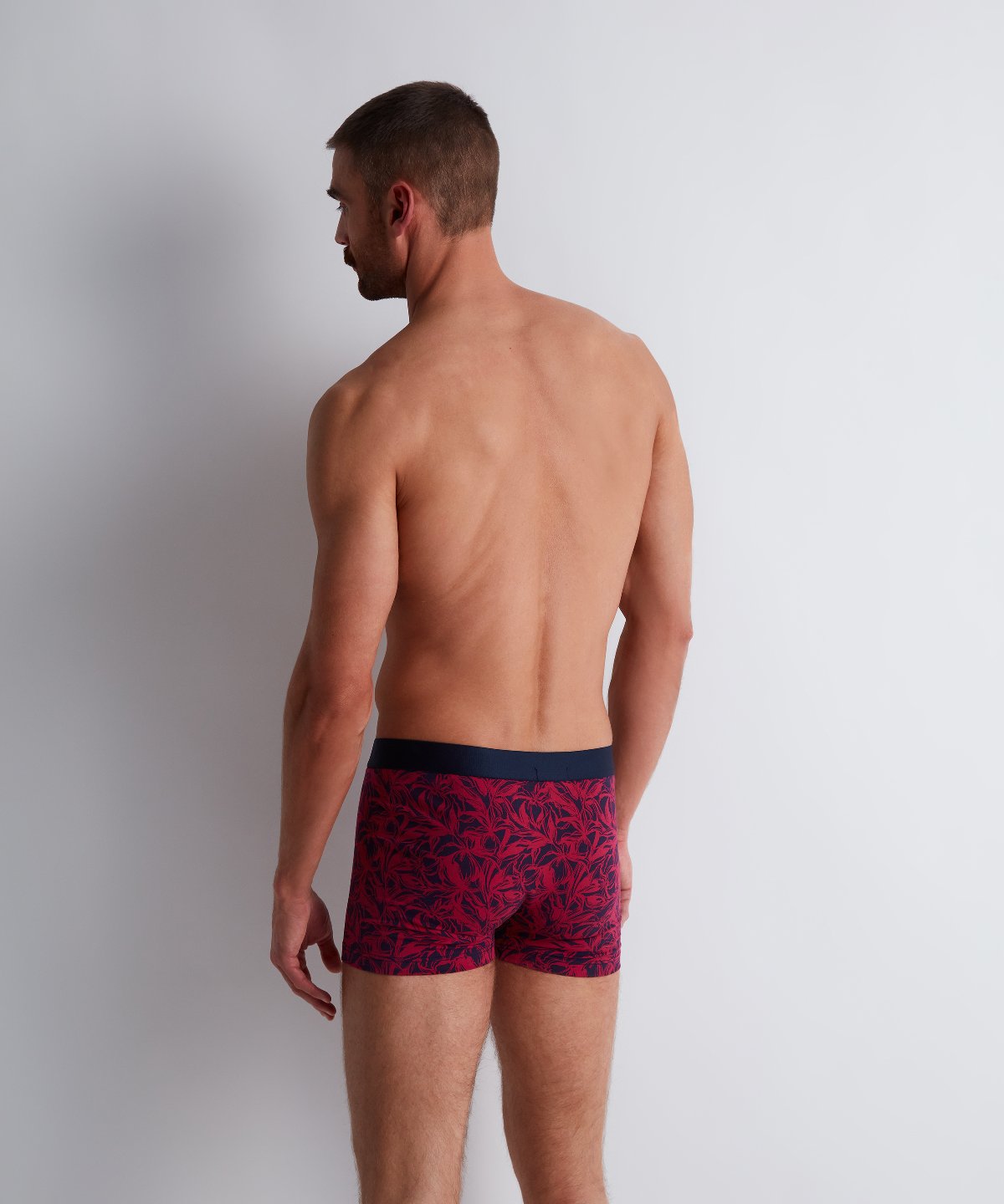 Aubade Homme Pack 2 boxers Fairy Bloom