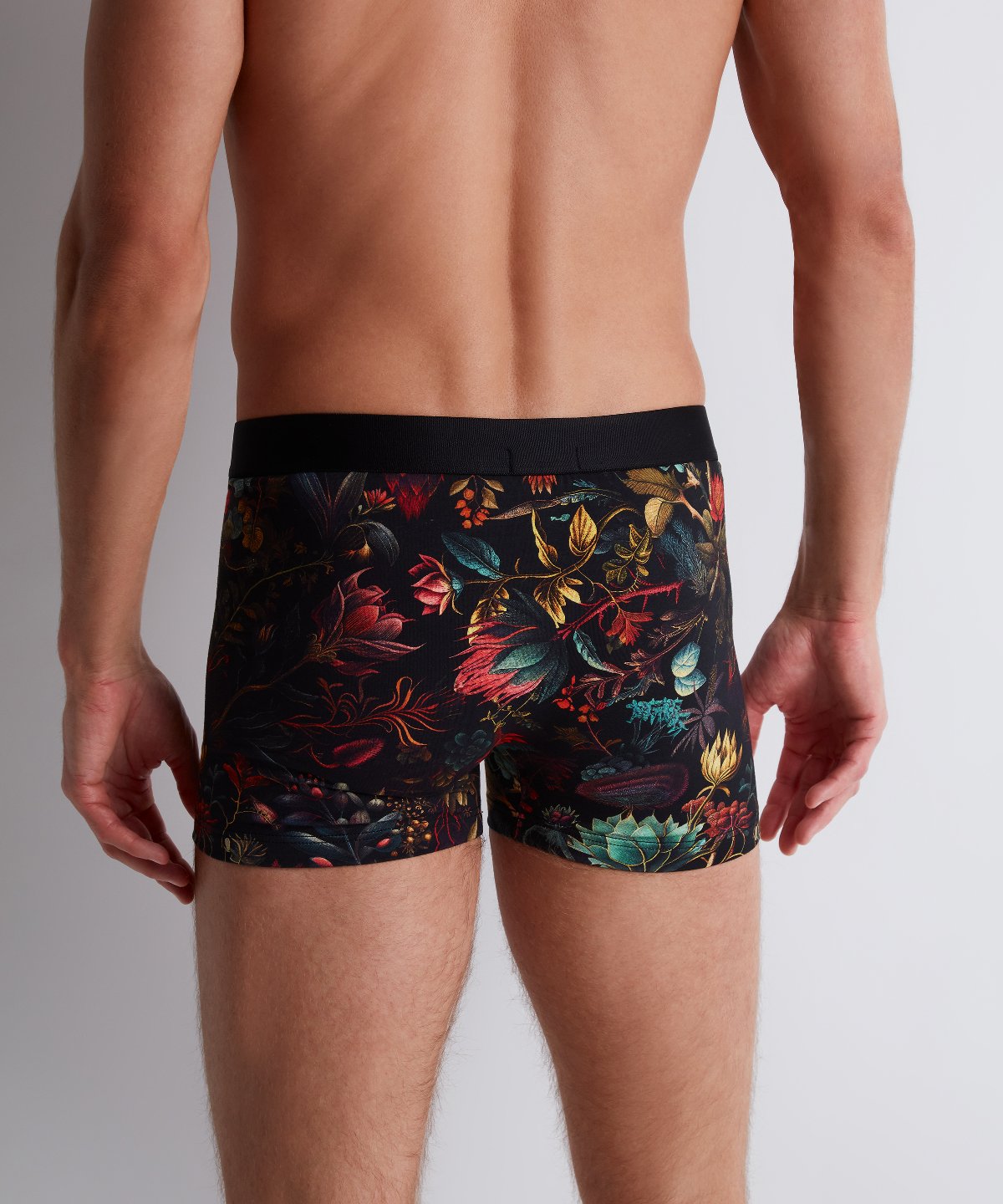 Aubade Homme Boxer homme Herbarium