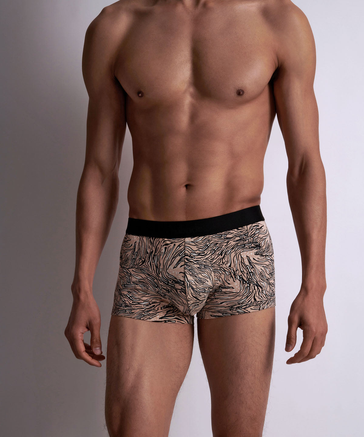 Aubade Homme Boxer trunk Féline